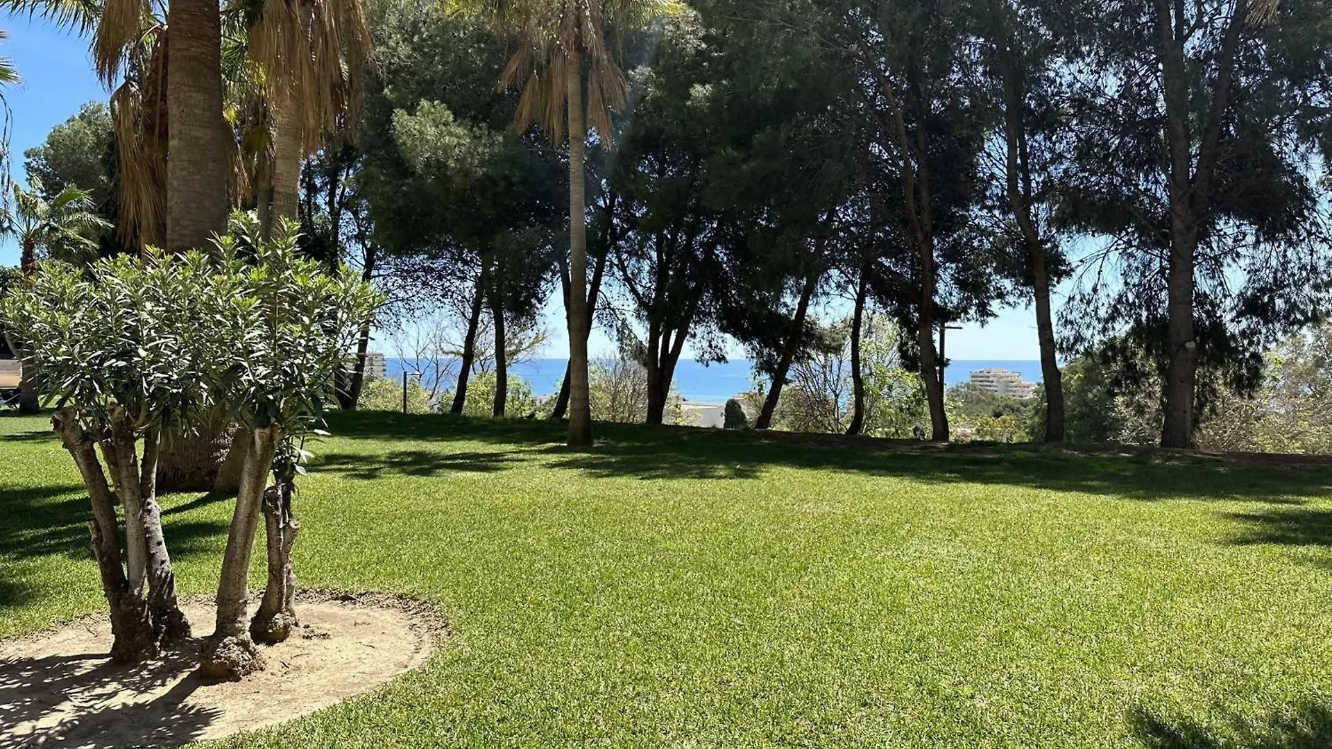 Estudio Agata Con Piscina A 800M De La Playa Benalmadena